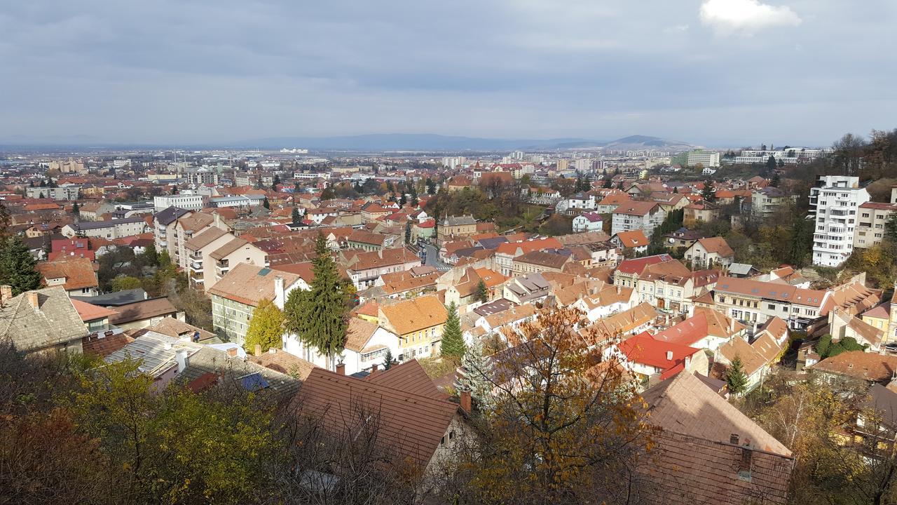 Grand View Apartment Braşov Extérieur photo