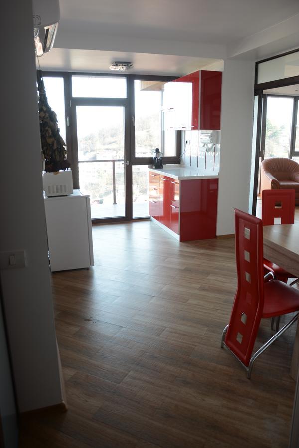 Grand View Apartment Braşov Extérieur photo